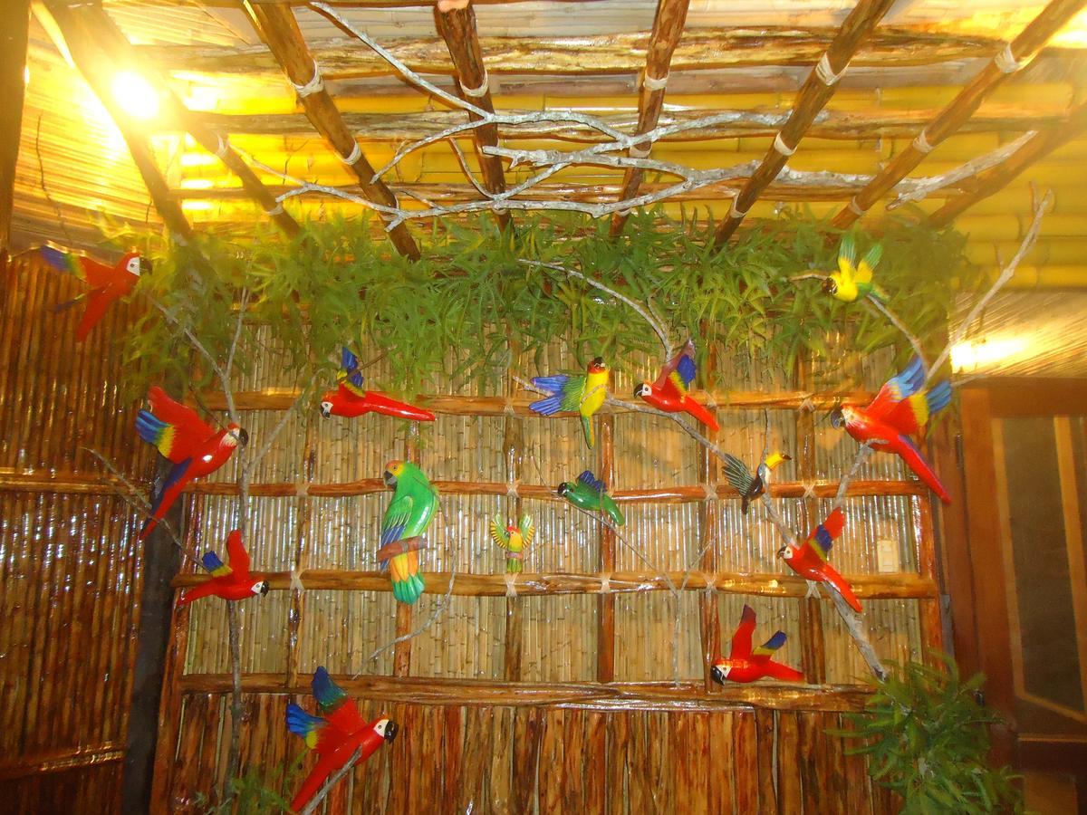 Nauta Pacaya Samiria Amazon Lodge מראה חיצוני תמונה